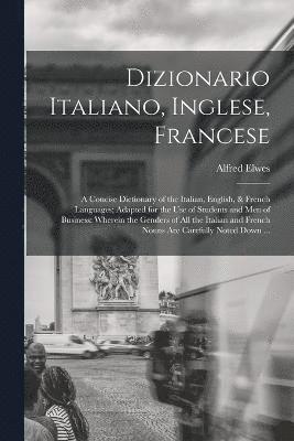 bokomslag Dizionario Italiano, Inglese, Francese