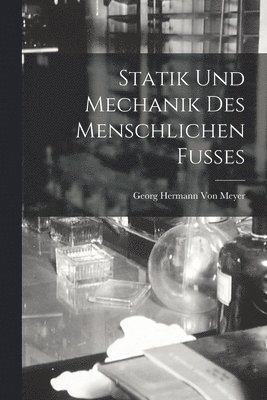 bokomslag Statik Und Mechanik Des Menschlichen Fusses