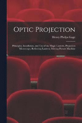 Optic Projection 1