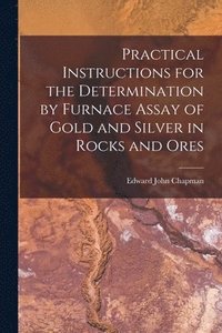 bokomslag Practical Instructions for the Determination by Furnace Assay of Gold and Silver in Rocks and Ores