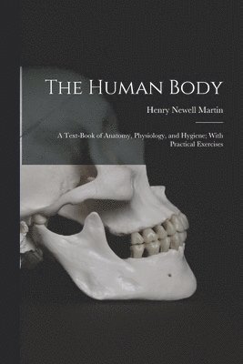 Human Body