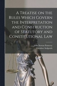 bokomslag A Treatise on the Rules Which Govern the Interpretation and Construction of Statutory and Constitutional Law