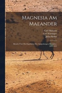 bokomslag Magnesia am Maeander