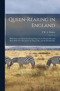 bokomslag Queen-rearing in England