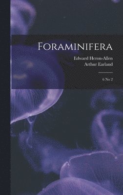 bokomslag Foraminifera