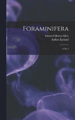 Foraminifera 1