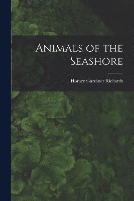 Animals of the Seashore 1