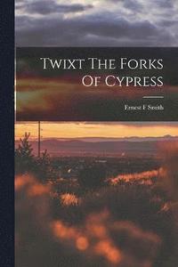 bokomslag Twixt The Forks Of Cypress