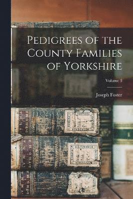 bokomslag Pedigrees of the County Families of Yorkshire; Volume 3