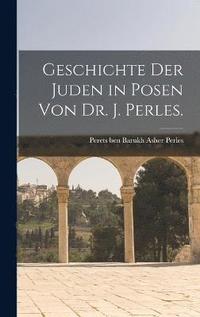 bokomslag Geschichte der Juden in Posen von Dr. J. Perles.