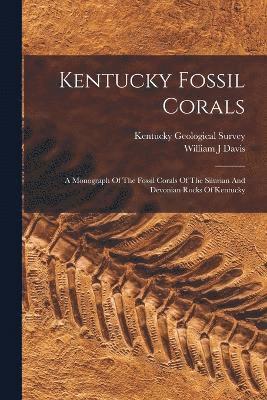 Kentucky Fossil Corals 1