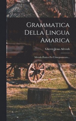 bokomslag Grammatica Della Lingua Amarica