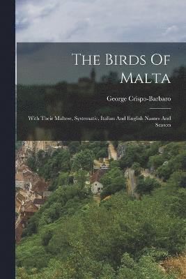 The Birds Of Malta 1