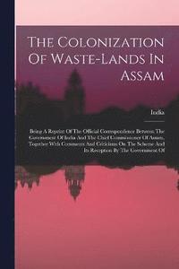 bokomslag The Colonization Of Waste-lands In Assam