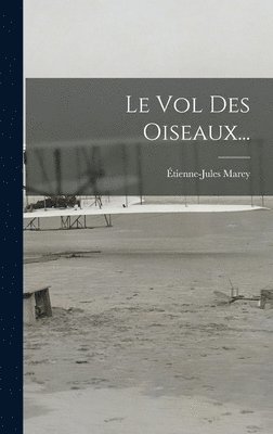 bokomslag Vol Des Oiseaux...