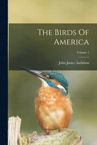 bokomslag The Birds Of America; Volume 1