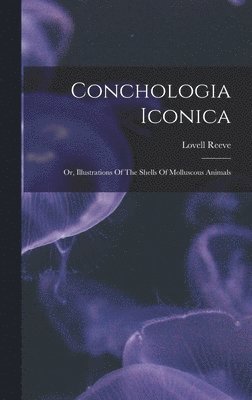 bokomslag Conchologia Iconica