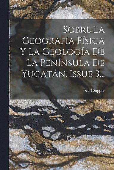 bokomslag Sobre La Geografa Fsica Y La Geologa De La Pennsula De Yucatn, Issue 3...