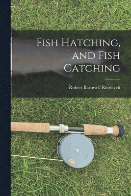 Fish Hatching, and Fish Catching 1