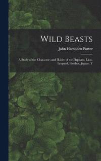 bokomslag Wild Beasts; a Study of the Characters and Habits of the Elephant, Lion, Leopard, Panther, Jaguar, T