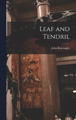 Leaf and Tendril 1