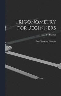 bokomslag Trigonometry for Beginners