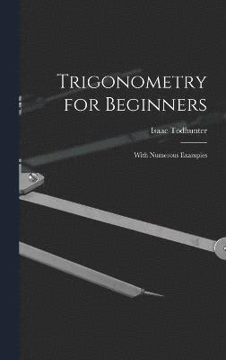 bokomslag Trigonometry for Beginners