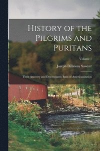 bokomslag History of the Pilgrims and Puritans