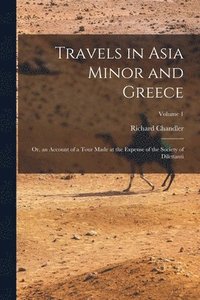 bokomslag Travels in Asia Minor and Greece