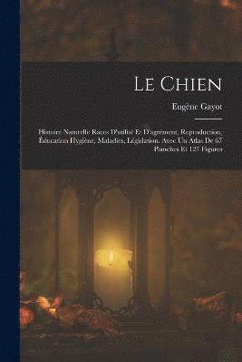 Chien