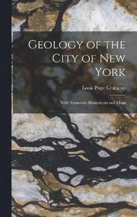 bokomslag Geology of the City of New York