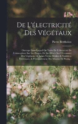 De L'électricité Des Végétaux