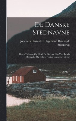 bokomslag De Danske Stednavne