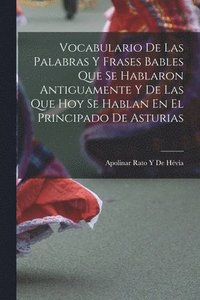 bokomslag Vocabulario De Las Palabras Y Frases Bables Que Se Hablaron Antiguamente Y De Las Que Hoy Se Hablan En El Principado De Asturias