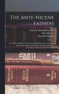 bokomslag The Ante-Nicene Fathers