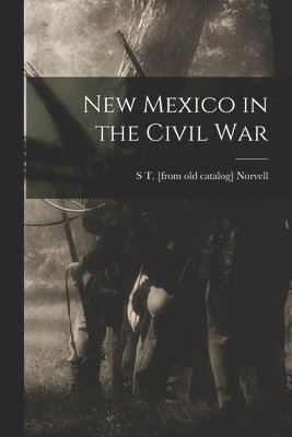 bokomslag New Mexico in the Civil War