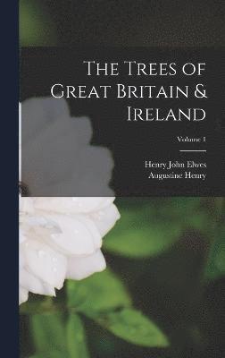 bokomslag Trees of Great Britain & Ireland; Volume 1