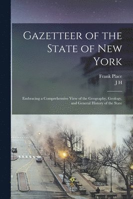 bokomslag Gazetteer of the State of New York