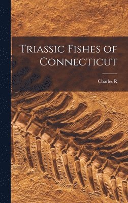 bokomslag Triassic Fishes of Connecticut