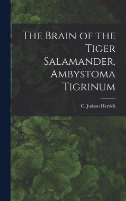 bokomslag The Brain of the Tiger Salamander, Ambystoma Tigrinum