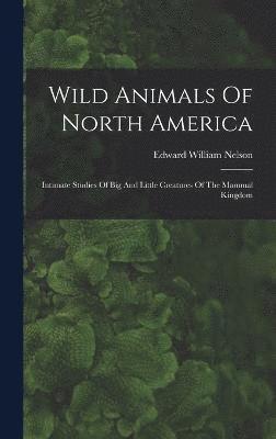 bokomslag Wild Animals Of North America