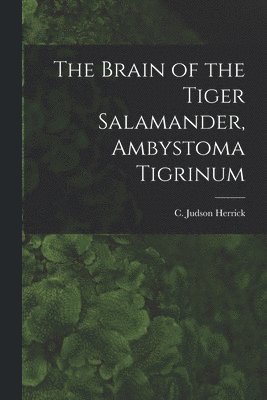 The Brain of the Tiger Salamander, Ambystoma Tigrinum 1