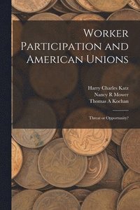 bokomslag Worker Participation and American Unions