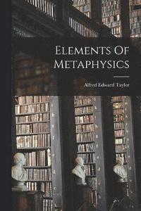 bokomslag Elements Of Metaphysics