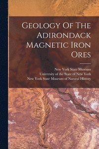 bokomslag Geology Of The Adirondack Magnetic Iron Ores