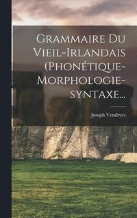 bokomslag Grammaire Du Vieil-irlandais (phontique-morphologie-syntaxe...