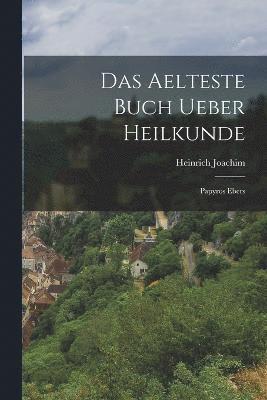 bokomslag Das aelteste Buch ueber Heilkunde