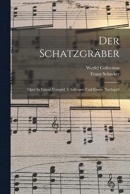 bokomslag Der Schatzgrber