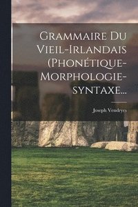 bokomslag Grammaire Du Vieil-irlandais (phontique-morphologie-syntaxe...