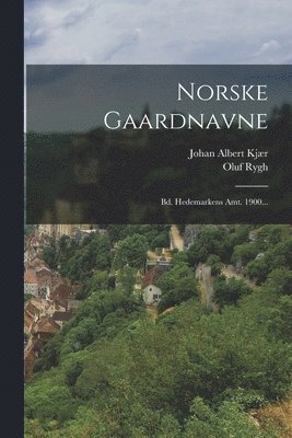 bokomslag Norske Gaardnavne